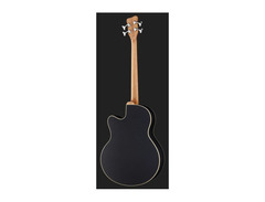Warwick Alien Standard 4 Fretless image 3