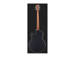 Warwick Alien Standard 5 image 3