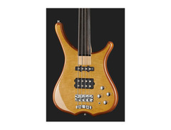 Warwick RockBass Infinity Fretless image 4