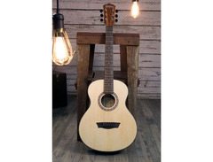 Washburn Apprentice G-Mini 5 image 2