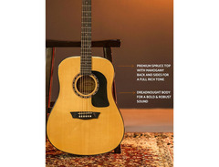 Washburn Apprentice Series D5 image 4