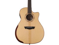 Washburn Comfort G25SCE image 2