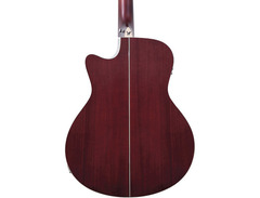 Washburn Deep Forest Burl ACE image 2