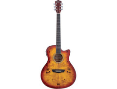 Washburn Deep Forest Burl ACE image 3