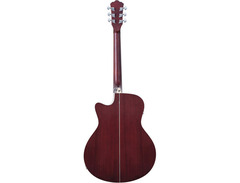 Washburn Deep Forest Burl ACE image 4