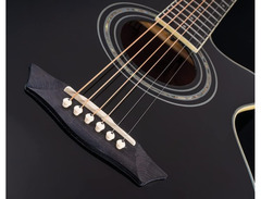 Washburn Festival EA12 image 2