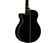 Washburn Festival EA55G image 2
