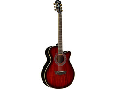 Washburn Festival EA55G image 3