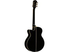 Washburn Festival EA55G image 4