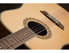 Washburn Harvest D7S image 4