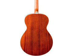 Washburn Harvest G7S image 2