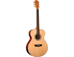 Washburn Harvest G7S image 3