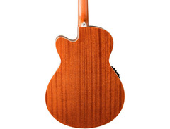 Washburn Harvest G7SCE image 2