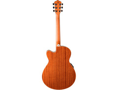 Washburn Harvest G7SCE image 4