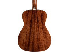 Washburn Heritage F11S image 2