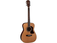 Washburn Heritage F11S image 3