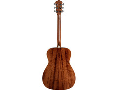 Washburn Heritage F11S image 4