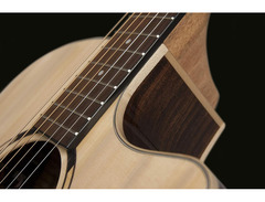 Washburn Woodline Series O20SCE image 3