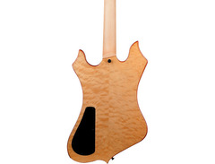 Wylde Audio Nomad image 2