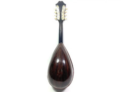 Raffaele Maratea Mandolin image 2