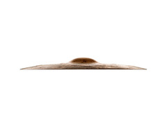 Zildjian 19" K Custom Special Dry Crash Cymbal image 2