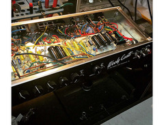 3rd Power Amplification WOOLY COATS - EXTRA SPANKY Combo image 3