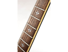 Guitar Fetish XAVIERE PRO500 Electric image 4