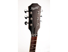 Guitar Fetish XAVIERE PRO555 Floyd Electric image 4