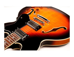 Guitar Fetish XAVIERE PRO900 Semi-Hollow Electric image 4
