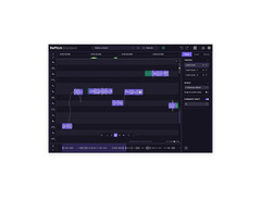 Synchro Arts RePitch 2 Standard Pitch and Time Editing Plug-in image 2