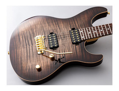 Black Cloud Black Smoker Futura S HH Guitar image 2
