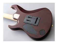 Black Cloud Black Smoker Futura S HH Guitar image 4