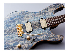 Black Cloud Black Smoker Futura S HH LTD Guitar image 2