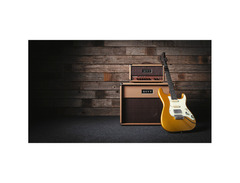 Revv D20 Joey Landreth Edition 20-watt Tube Amp Head image 3