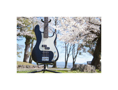 Kanade Sound Design KPJ Series Bass image 3