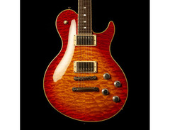 Freedom Custom Guitar Research RR Series Guitar image 2