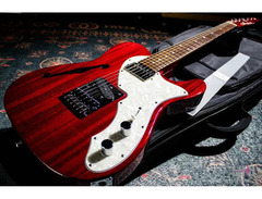 Freedom Custom Guitar Research TE Pepper Hollow I Guitar image 2