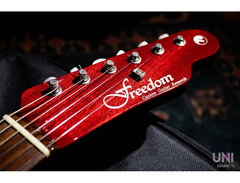 Freedom Custom Guitar Research TE Pepper Hollow I Guitar image 4