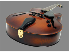 Landscape Guitar AR-101 Hollow Body Guitar image 3