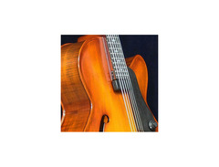 Landscape Guitar AR-101PH Perry Hughes Signature Hollow Body Guitar image 4