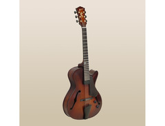 Landscape Guitar AR-201 Hollow Body Guitar image 2