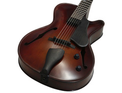Landscape Guitar AR-201 Hollow Body Guitar image 4