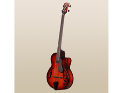 Landscape Guitar ARB-204 FL Fretless Bass image 2