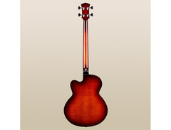 Landscape Guitar ARB-204 FL Fretless Bass image 3