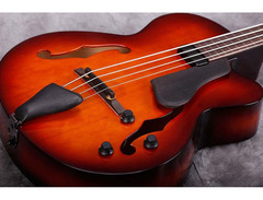 Landscape Guitar ARB-204 FL Fretless Bass image 4