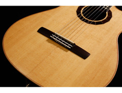 Crews Maniac Sound Memory Of Sonoma Classical Electric Guitar image 3