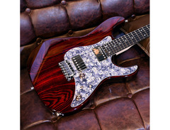 Altero Custom Guitars Astra Series image 4