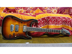 Combat Guitars ST Warm Series image 2