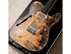 Combat Guitars TL Warm Series image 2