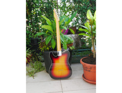 Combat Guitars TL Classic Series image 2